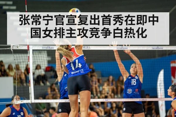 volleyball match action
