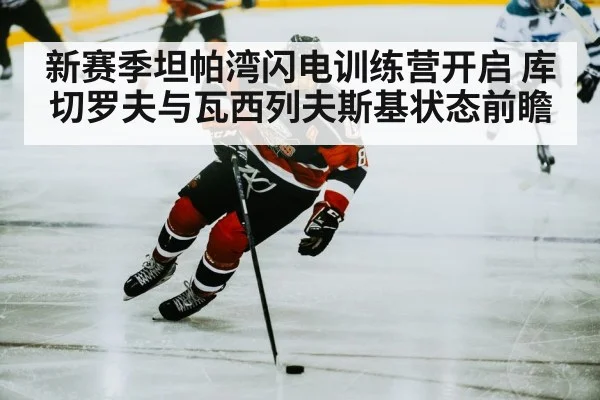 hockey player skating